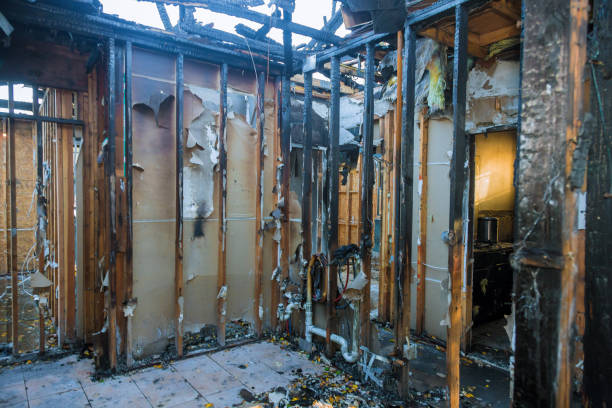 Professional Soot Cleanup technician working in Fox Island, WA